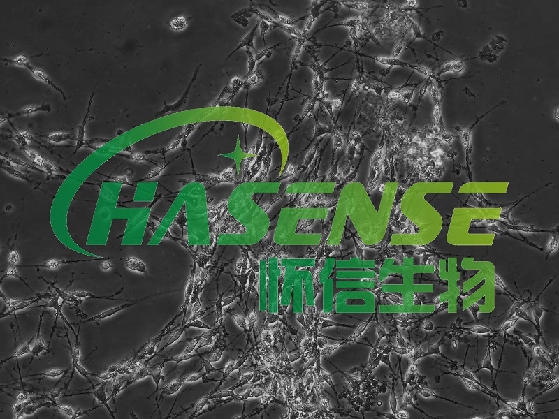 原代細(xì)胞分離提取